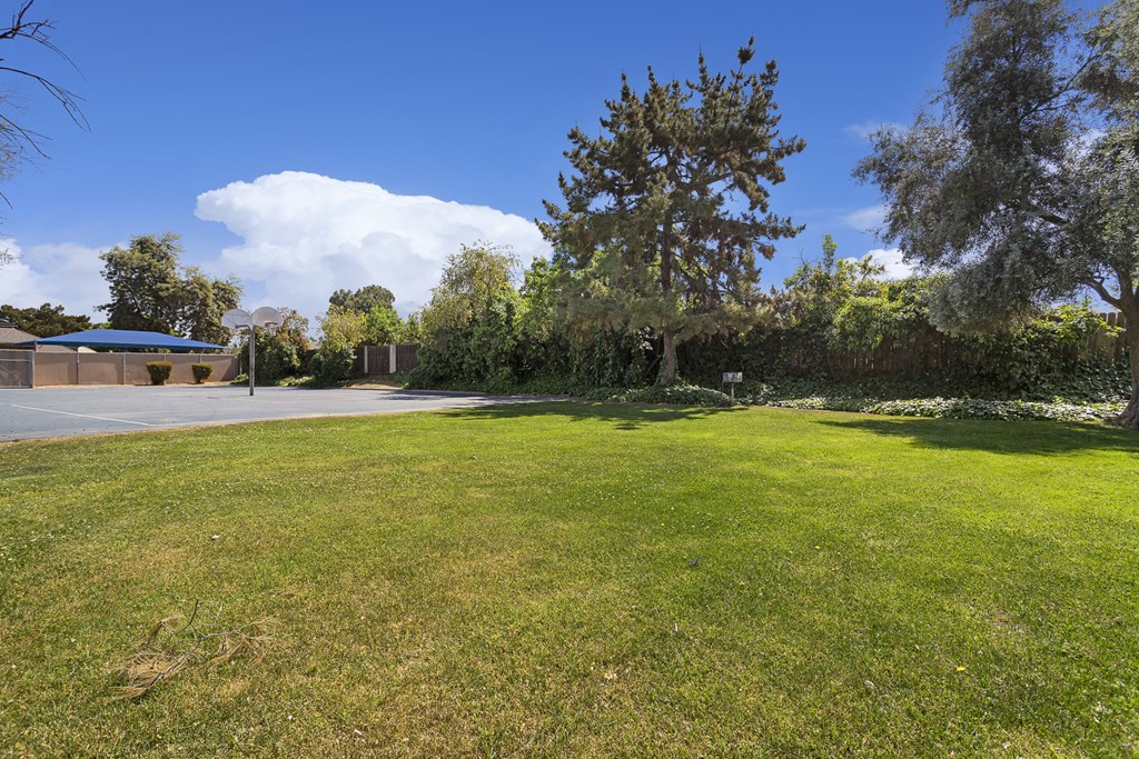 a yard with a parking lot and a tree
