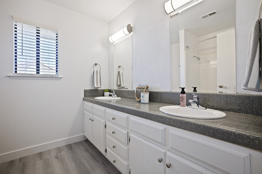 a bathroom with two sinks and a mirror