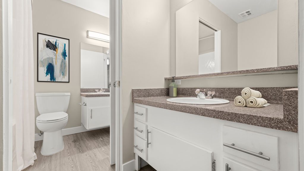 a bathroom with a sink and a toilet