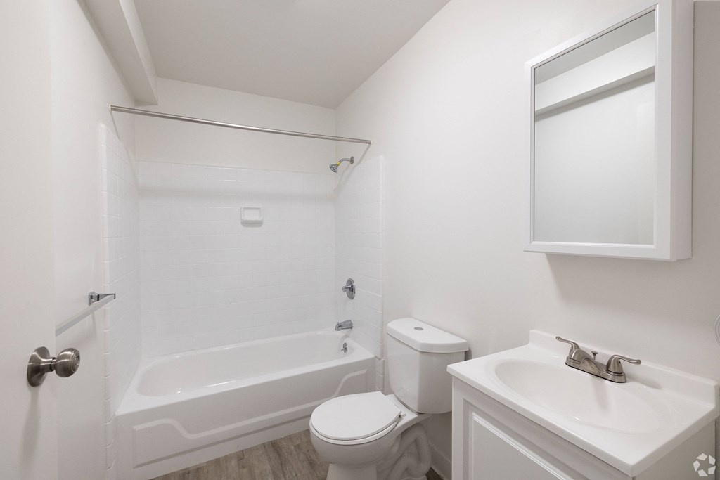 a bathroom with a toilet and a sink and a tub