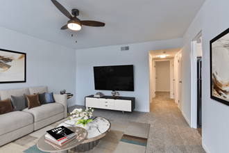 Staged Living Room - Photo Gallery