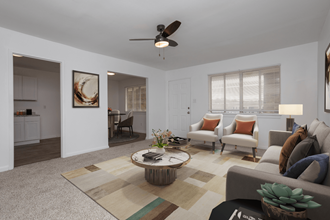 Staged Living Room - Photo Gallery
