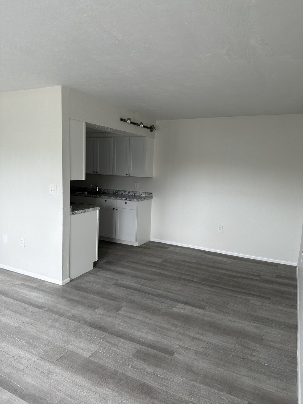 an empty living room and kitchen with a wood floor