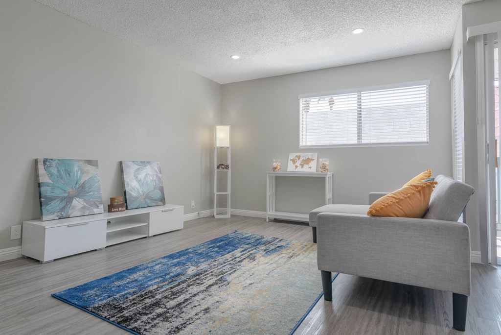a living room with a couch and a rug