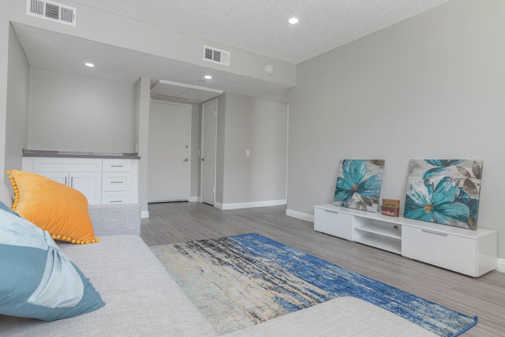 a living room with a couch and a rug