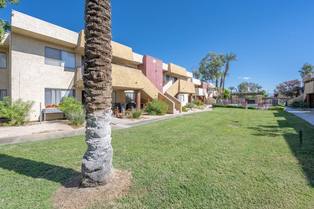 a grassy area with a palm tree in front of some apartments