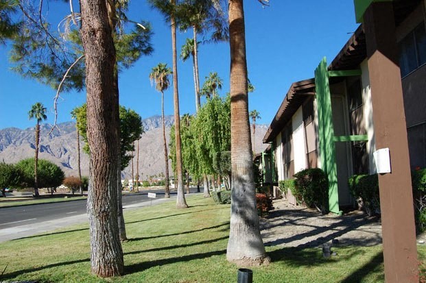 a building with a palm tree in front of it