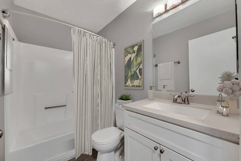 a bathroom with a shower and a sink and a toilet