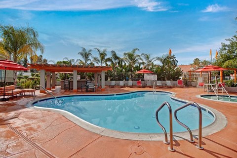 the swimming pool at the resort on a sunny day