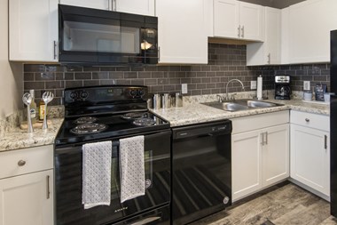 Artisan Apartment Kitchen