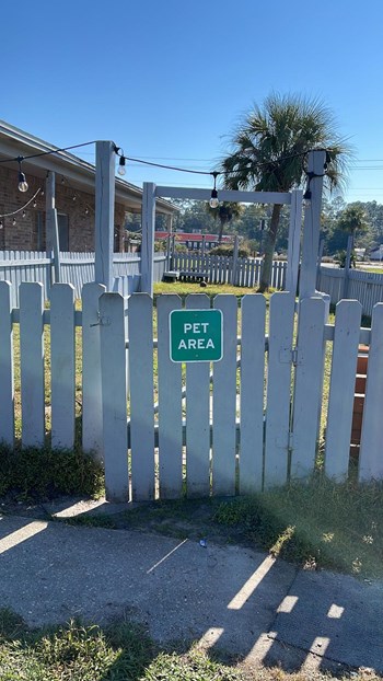 Bark Park, Playa Blanca - Photo Gallery 8