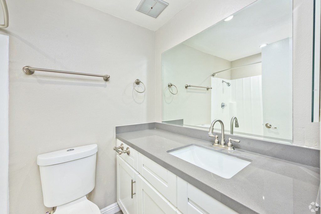 A white toilet sits next to a sink in a bathroom.