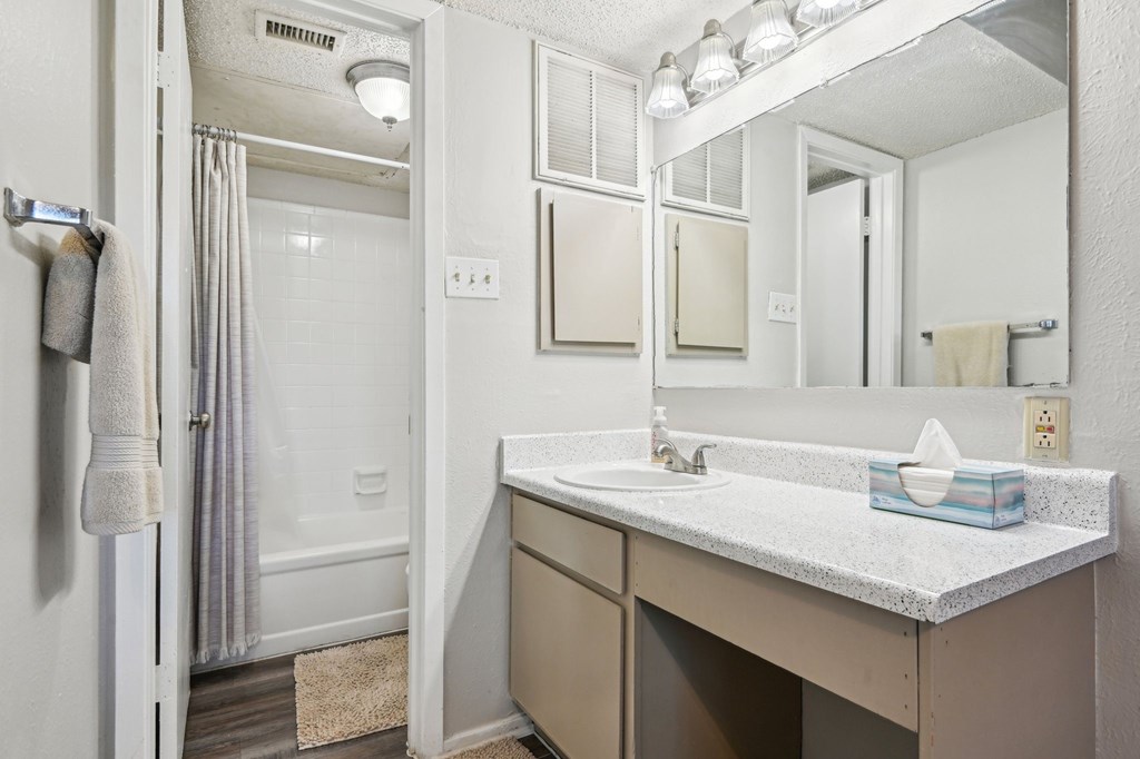 Primary Sink View at Abbey Glenn Apartments, Waco, TX