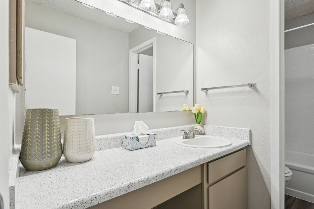 Model Shared Bathroom Sink at Abbey Glenn Apartments, Texas, 76706