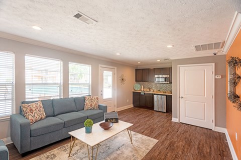 Natural Light, Sofa In Living Room at Summerstone Apartments, Texas, 77901