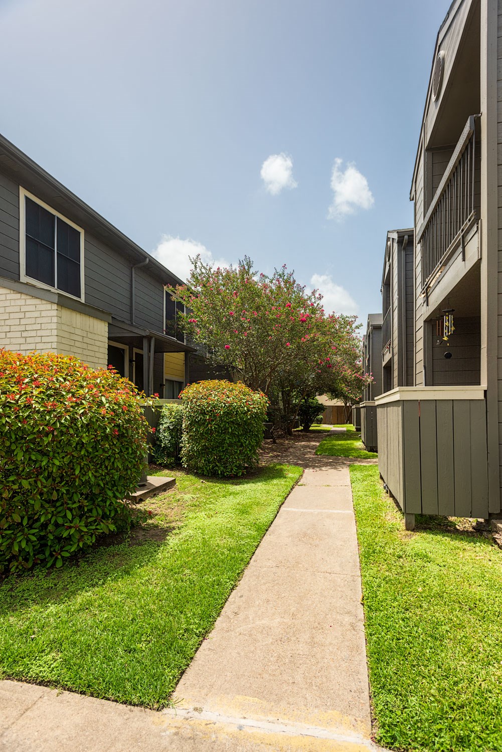 Beautiful Walking Paths at Autumn Park, Texas