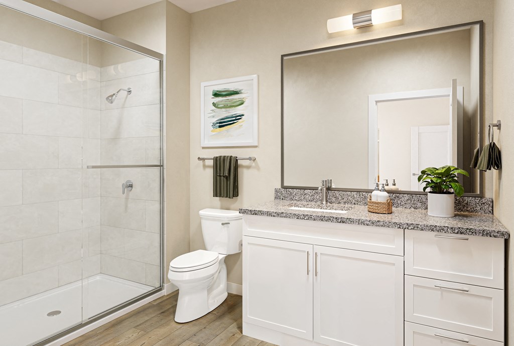 a bathroom with a shower toilet and sink and a mirror