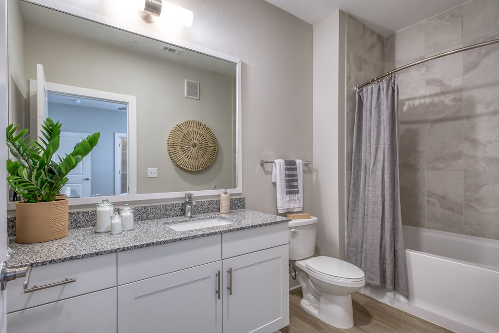 A bathroom with a white toilet, a sink, a mirror, and a plant.