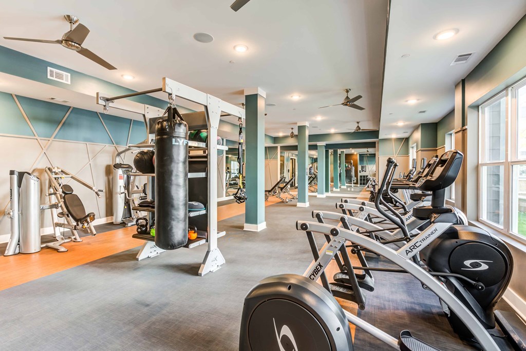 a gym with weights and a punching bag on the floor