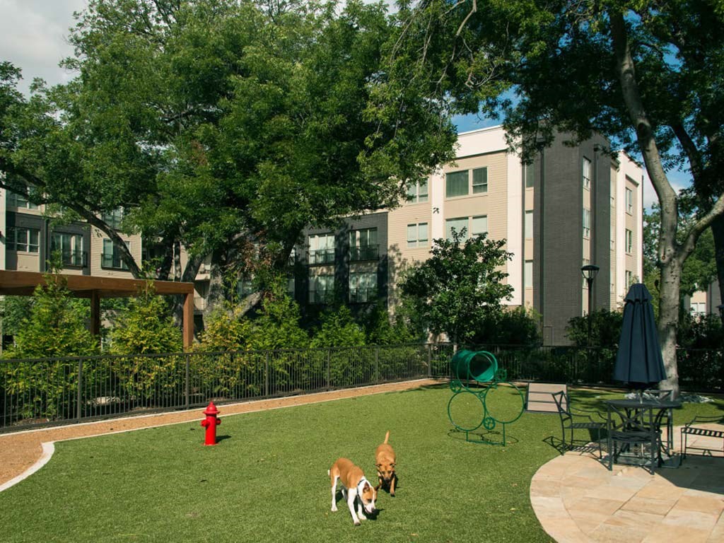 Dog Park at Everra Midtown Park, Texas, 75231