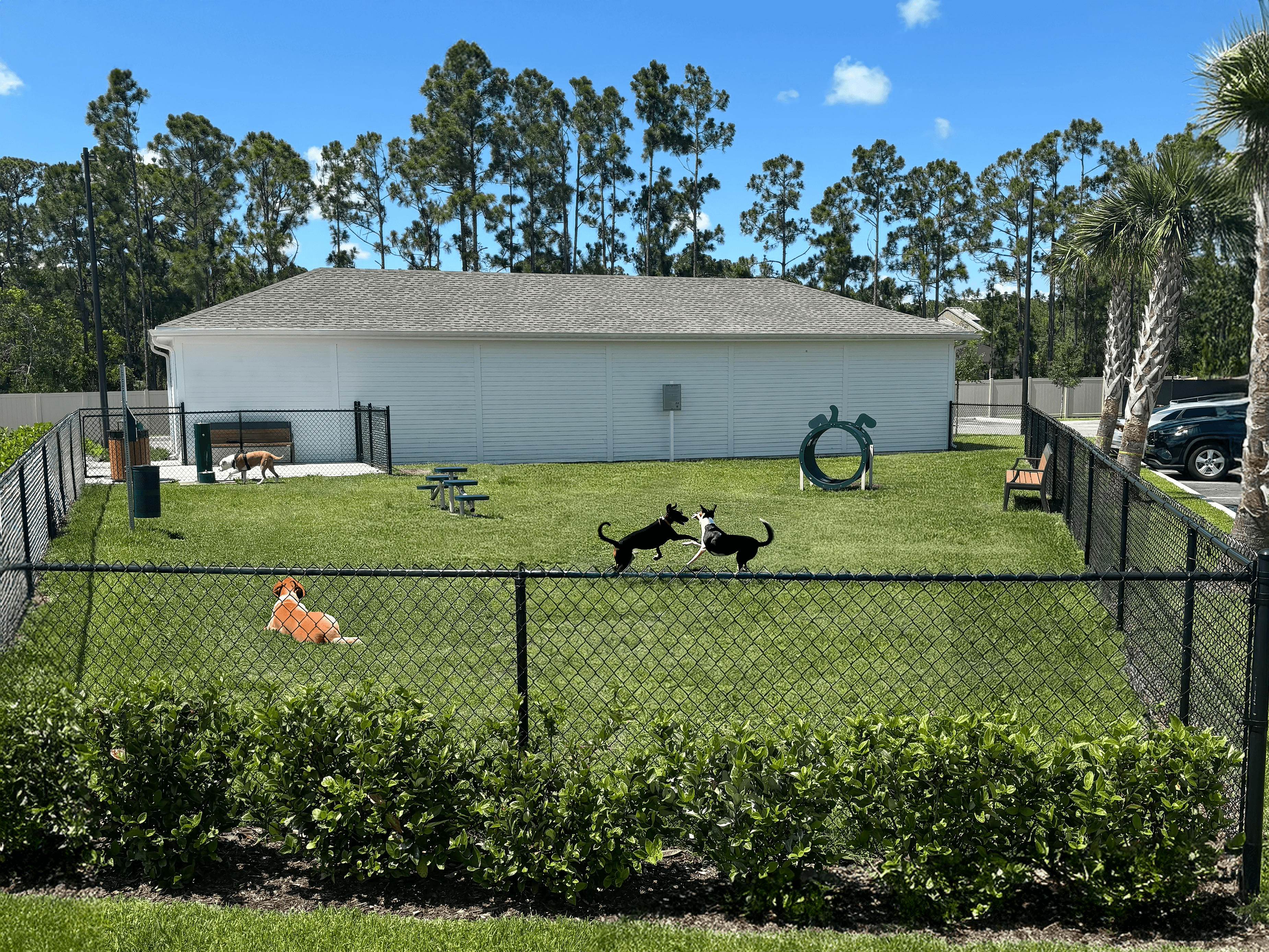 205 Valor DR. SE 1-3 Beds Apartment for Rent