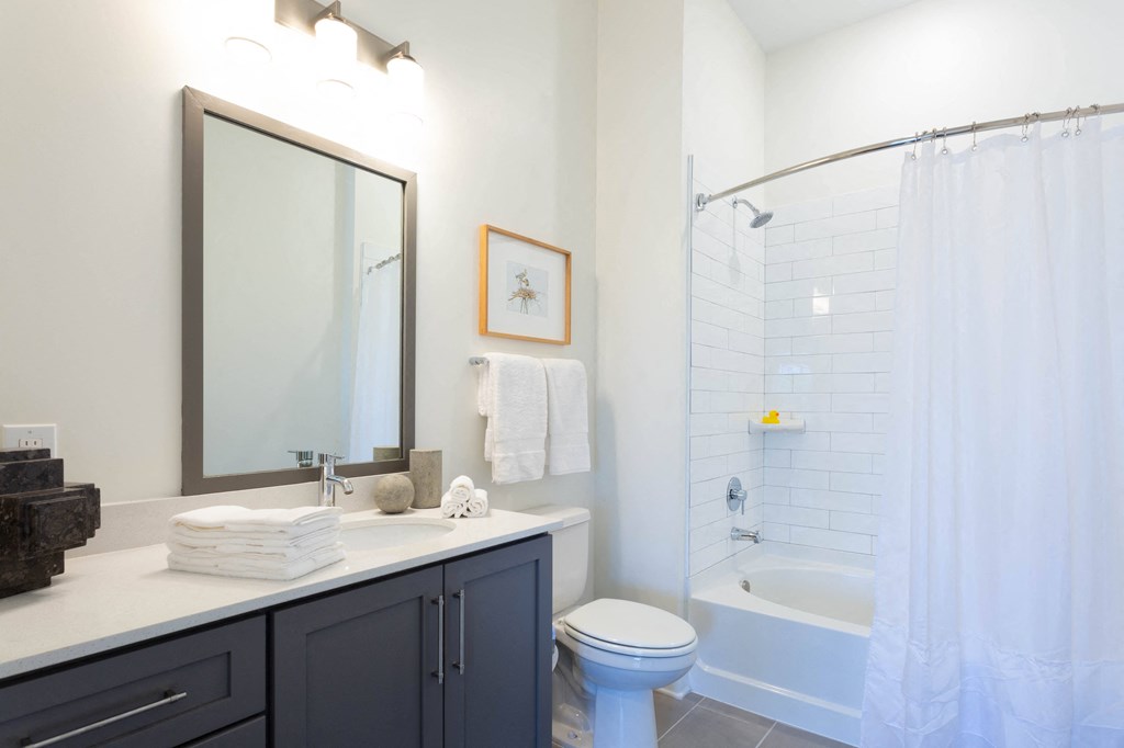a bathroom with a shower toilet and sink and a mirror