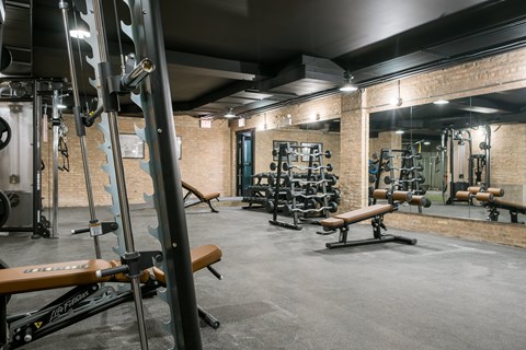 A gym with a variety of equipment including a squat rack, bench, and weights.