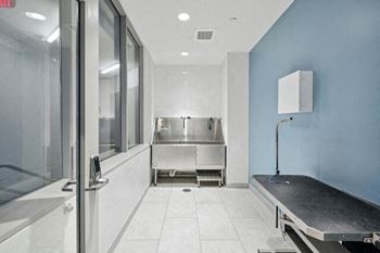 Pet Wash at The Oxford Apartments, Oxon Hill, MD 20745