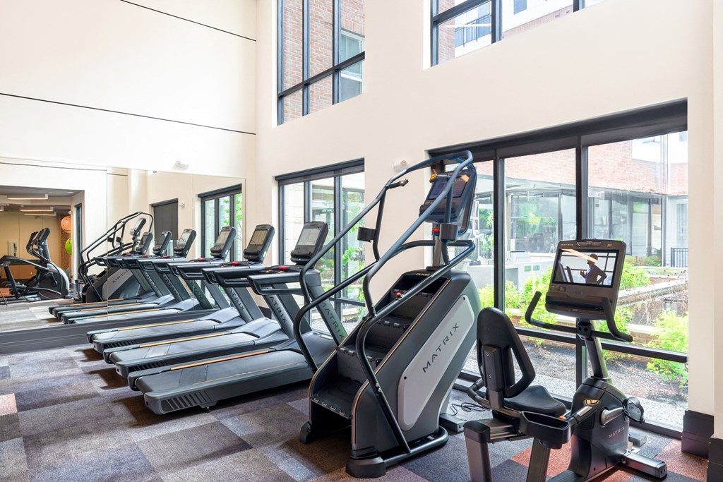 a row of treadmills and elliptical trainers in a gym