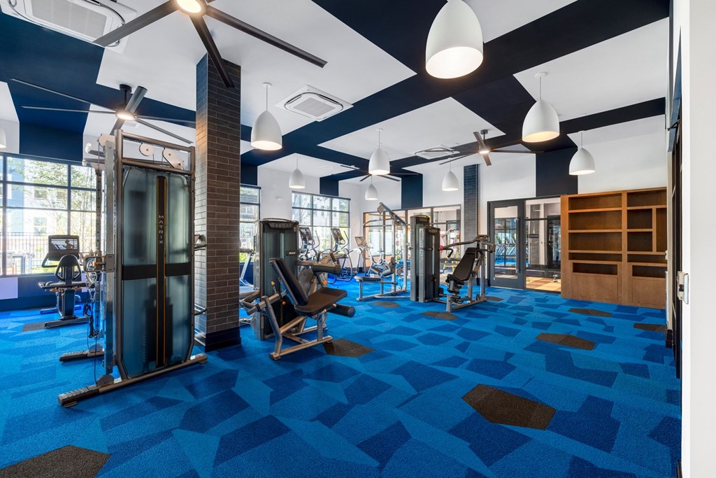 a gym with cardio machines and weights on a blue rug