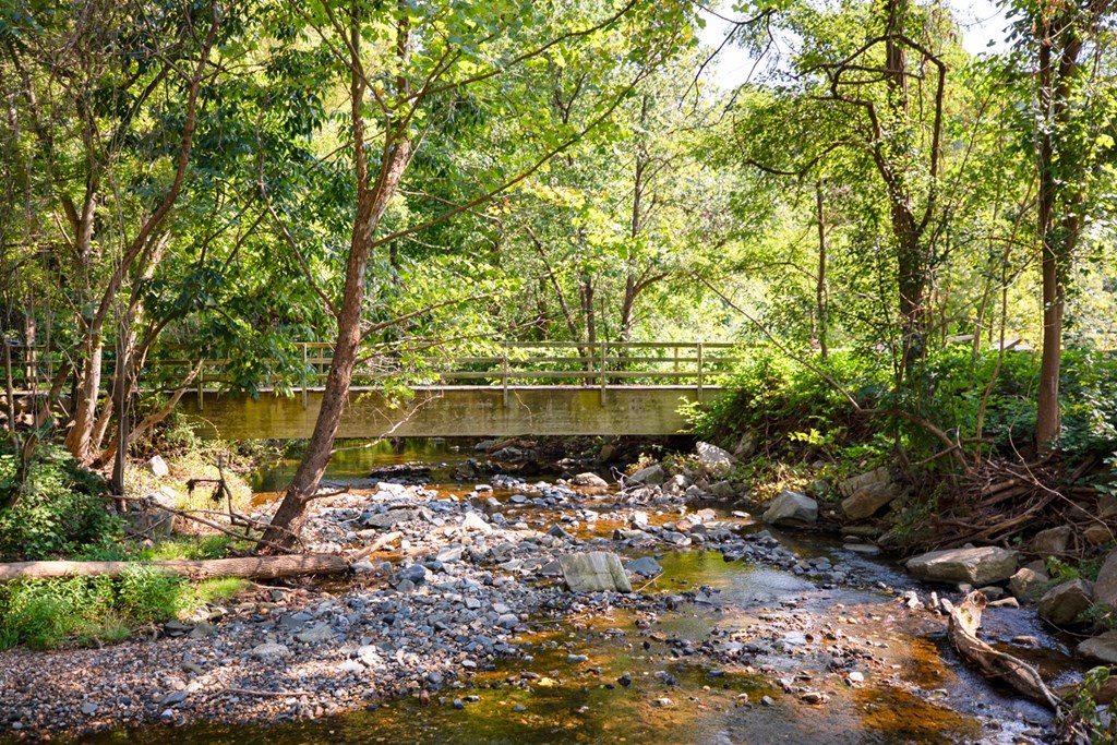 a bridge over a stream in the woods