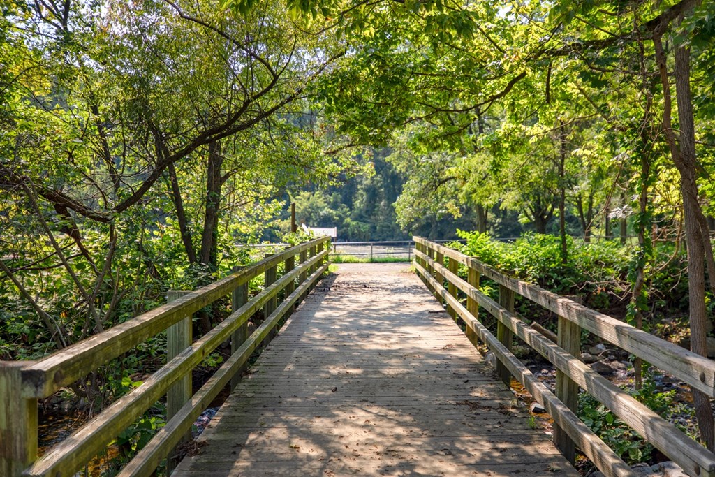a wooden bridge in a park with trees and bushes