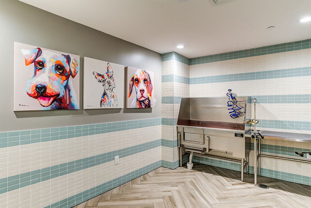 Pet Wash at Allure Apollo, Camp Springs, MD