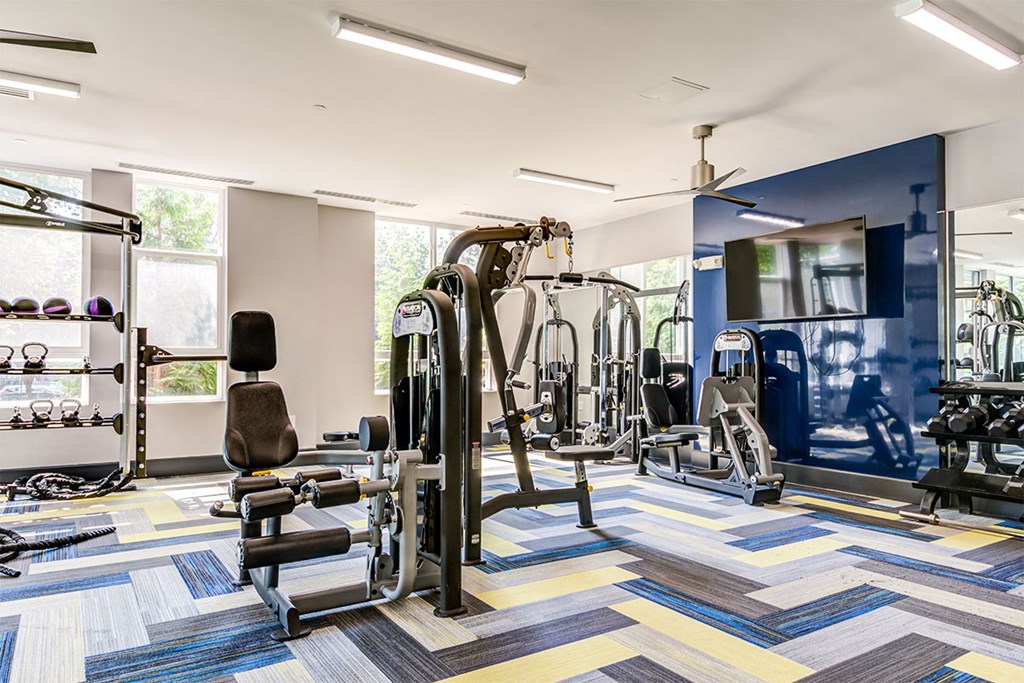 Fitness Center With Updated Equipment at Ascend Apollo Apartments, Largo