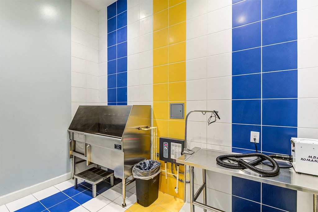 Pet Wash at Ascend Apollo Apartments, Maryland 20774