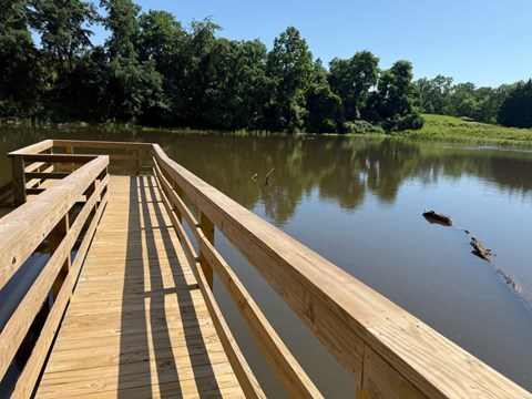 A wooden dock extends into a calm body of water with trees in the background.