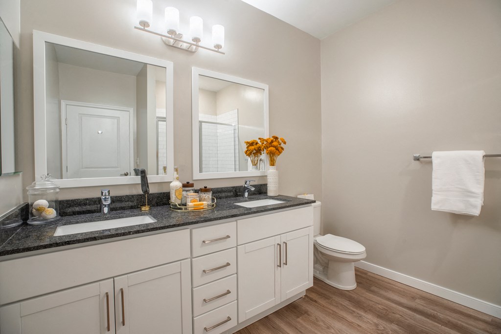 a bathroom with two sinks and a mirror and a toilet
