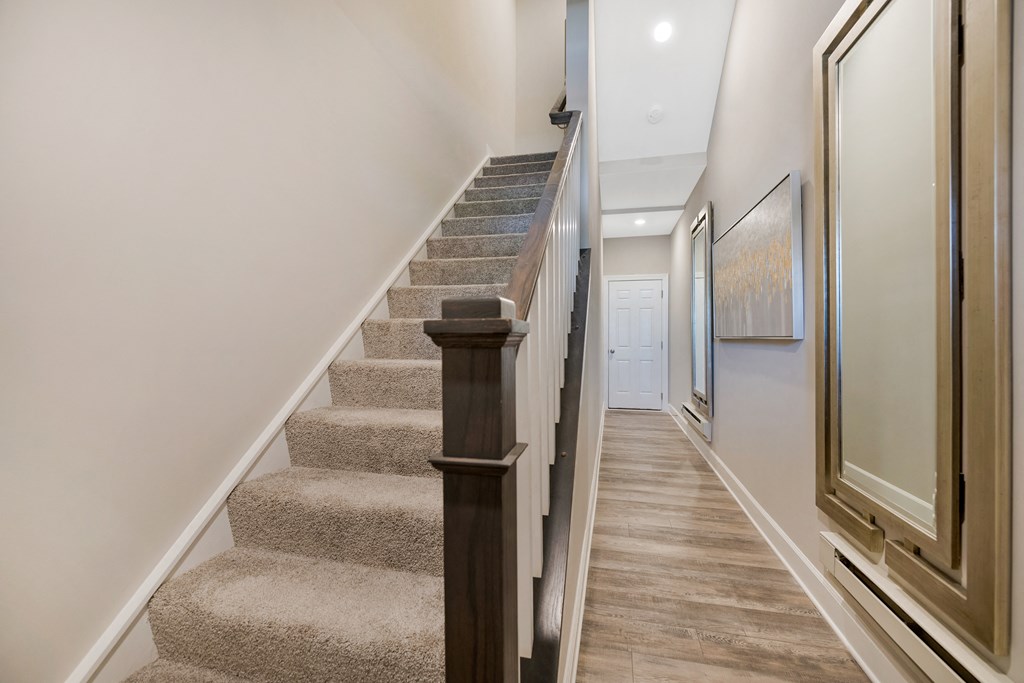 a staircase in a house with carpeted stairs and a door