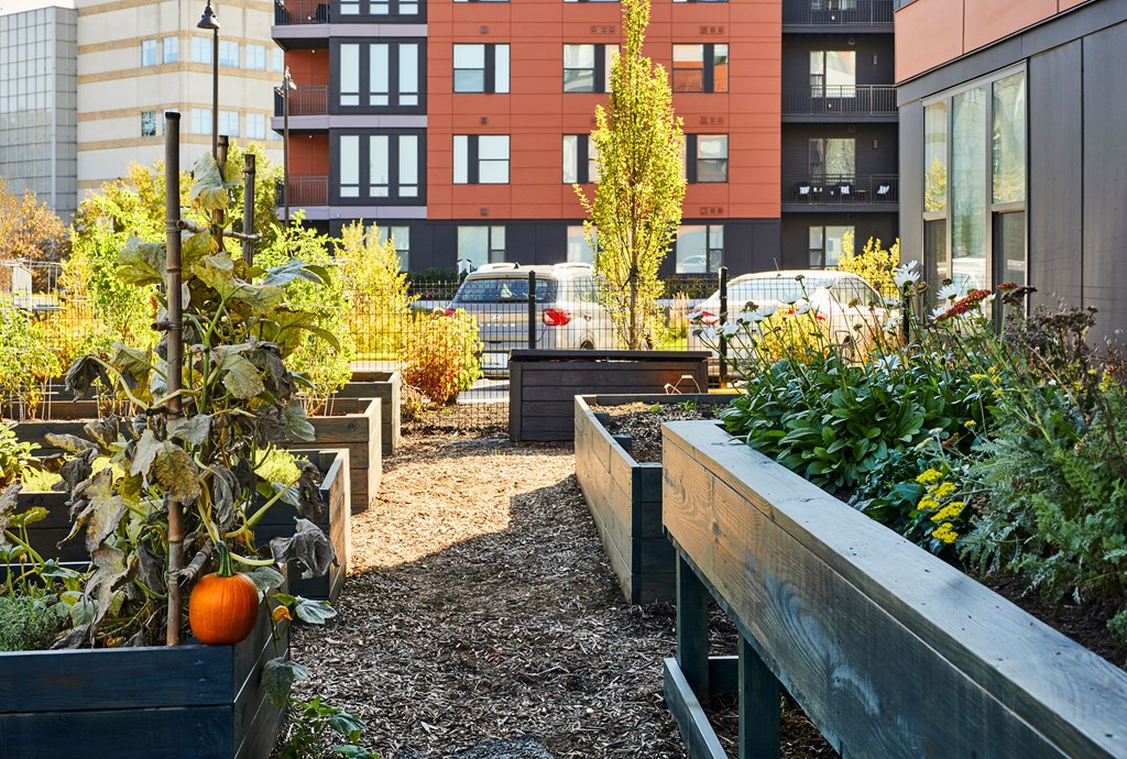 A garden with a pumpkin in a planter box.