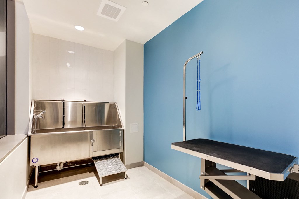 Pet grooming room at The Oxford Apartments, Oxon Hill, 20745