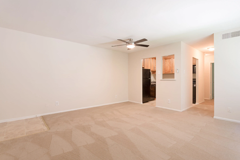 A spacious room with a ceiling fan and a carpeted floor.