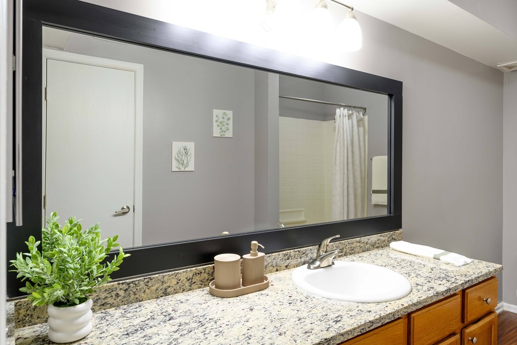 A bathroom with a sink, mirror, and a potted plant.