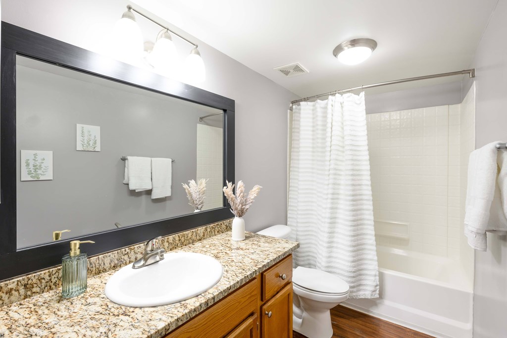 A bathroom with a sink, mirror, toilet, and shower.