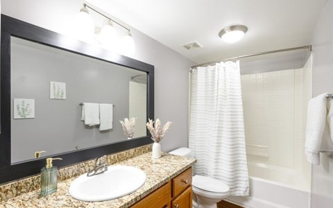 A bathroom with a sink, mirror, toilet, and shower.