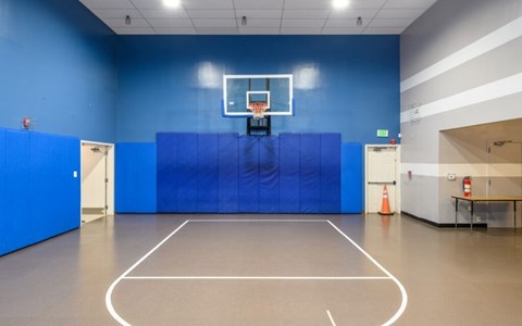 A basketball court with a hoop and a blue wall.