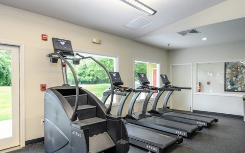 A gym with treadmills and a view of greenery outside.