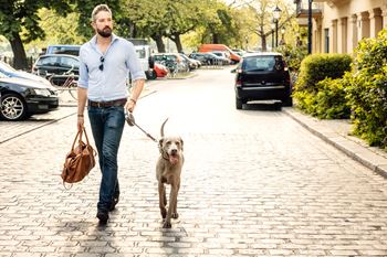 Man and Dog at Refinery Row, Baltimore, MD 21224 the street