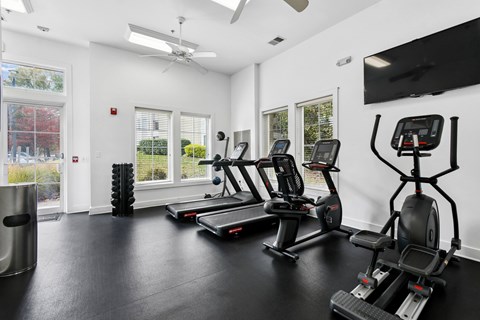 naturally lit fitness center with gym equipment  at Poplar Glen Apartments, Columbia, MD, 21044.