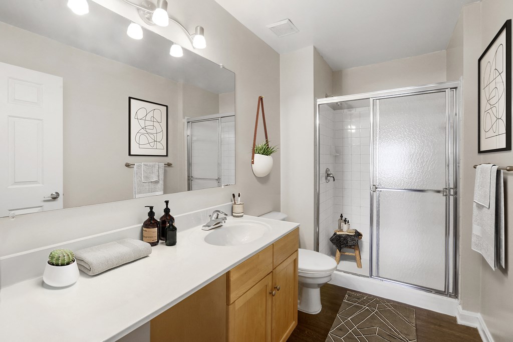 Bathroom at Owings Park Apartments, Maryland, 21117