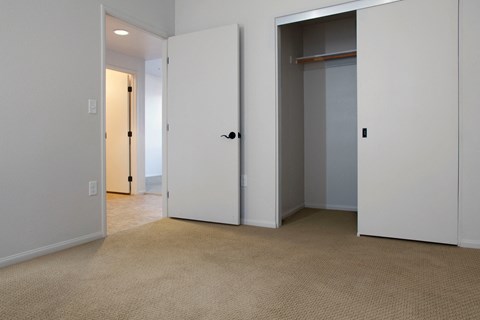 a bedroom with two closets and a carpeted floor